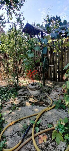 Colentina - Moroeni Vanzare teren